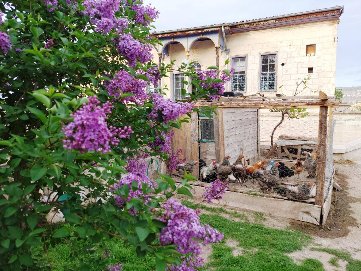 Armesos Cave Hotel Ürgüp Esterno foto