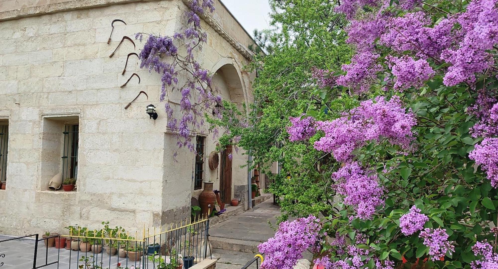 Armesos Cave Hotel Ürgüp Esterno foto